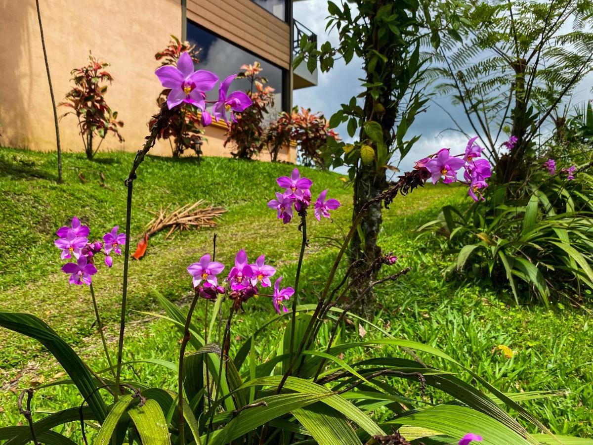 Retiro Del Lago Arenal Lodge El Castillo 外观 照片